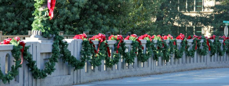 Lagunitas Bridge2